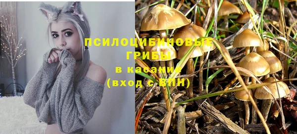 прущая мука Кодинск