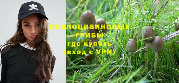 мет Козельск