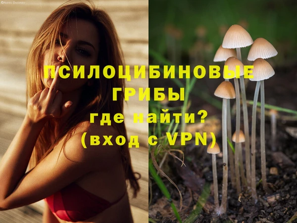 мет Козельск