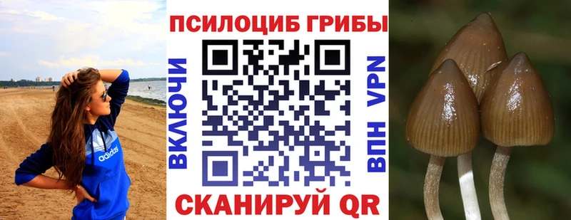 Галлюциногенные грибы прущие грибы  Кулебаки 